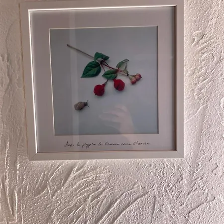 Bluemind Gæstehus Tropea