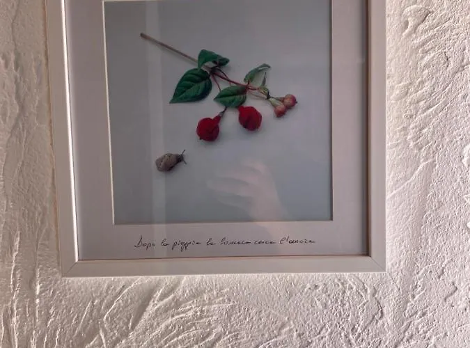 Bluemind Pensjonat Tropea